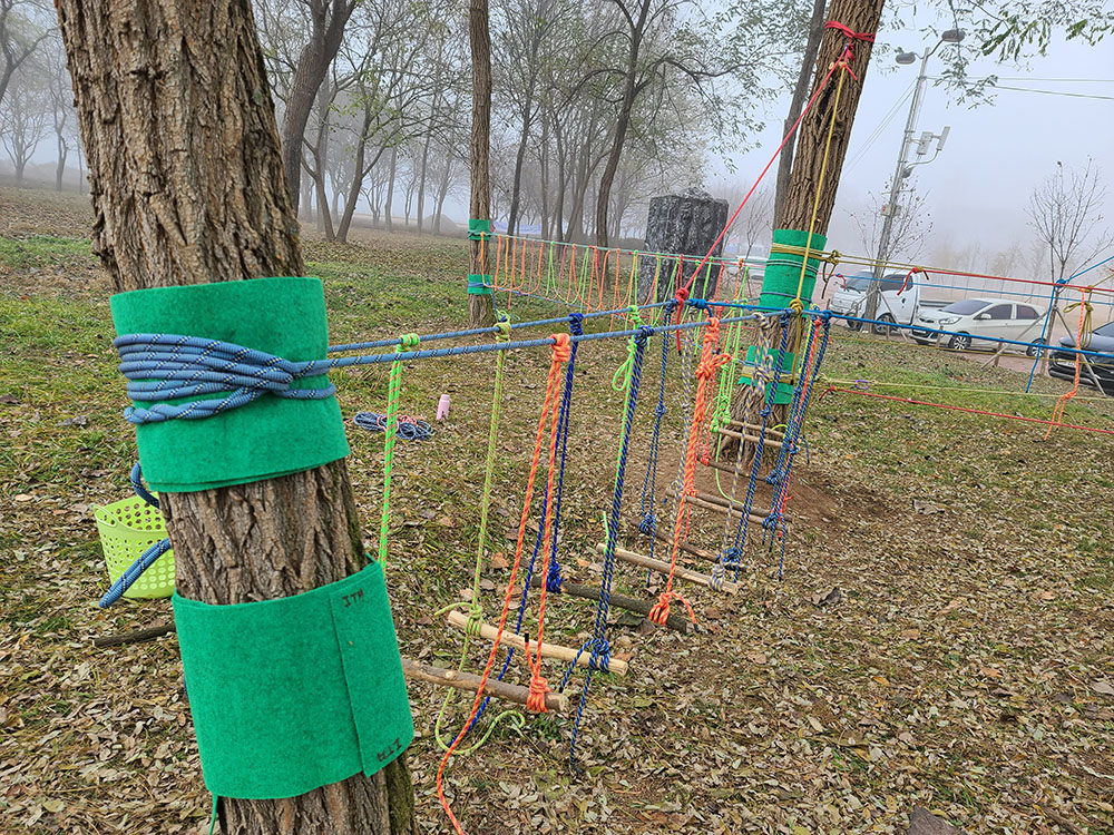 7ffa55e5189586c65e16f9481f7f066b_1706059922_1472.jpg