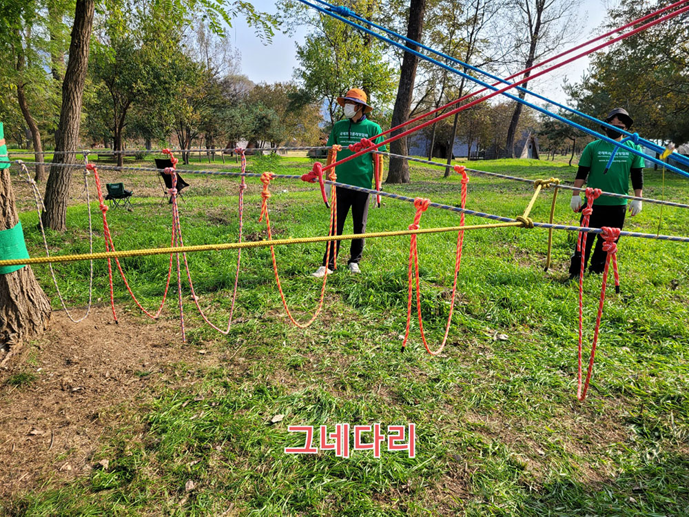 7ffa55e5189586c65e16f9481f7f066b_1706069556_4747.jpg