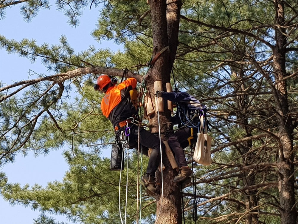 7ffa55e5189586c65e16f9481f7f066b_1706072704_3922.jpg
