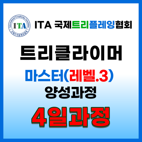 이미지 상세보기