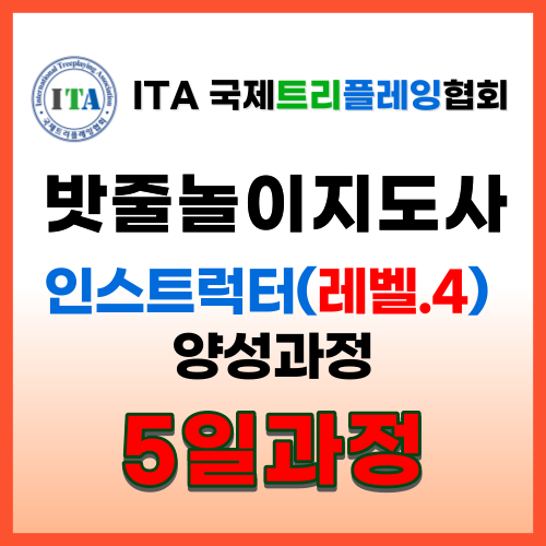 이미지 상세보기