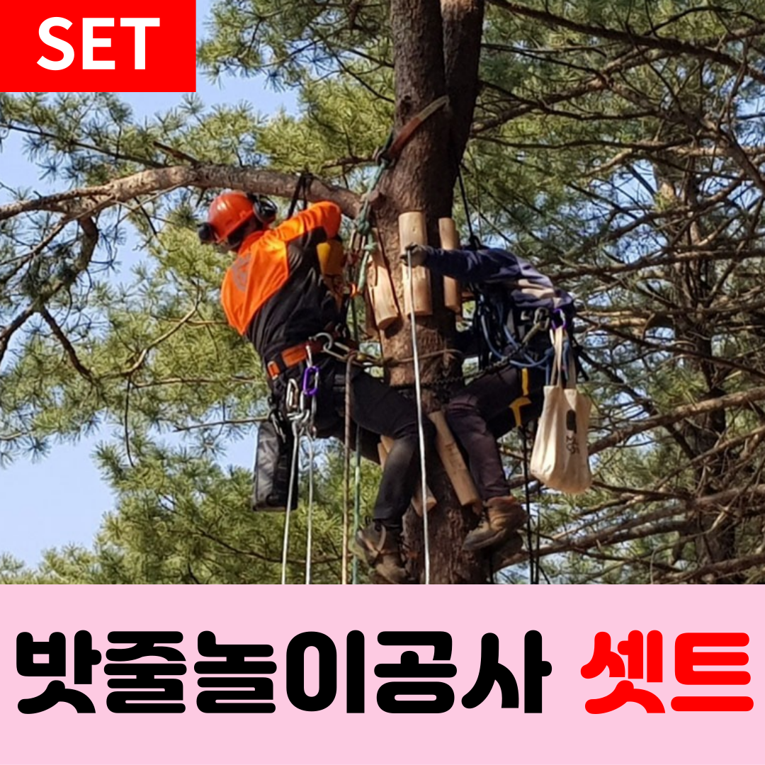 이미지 상세보기