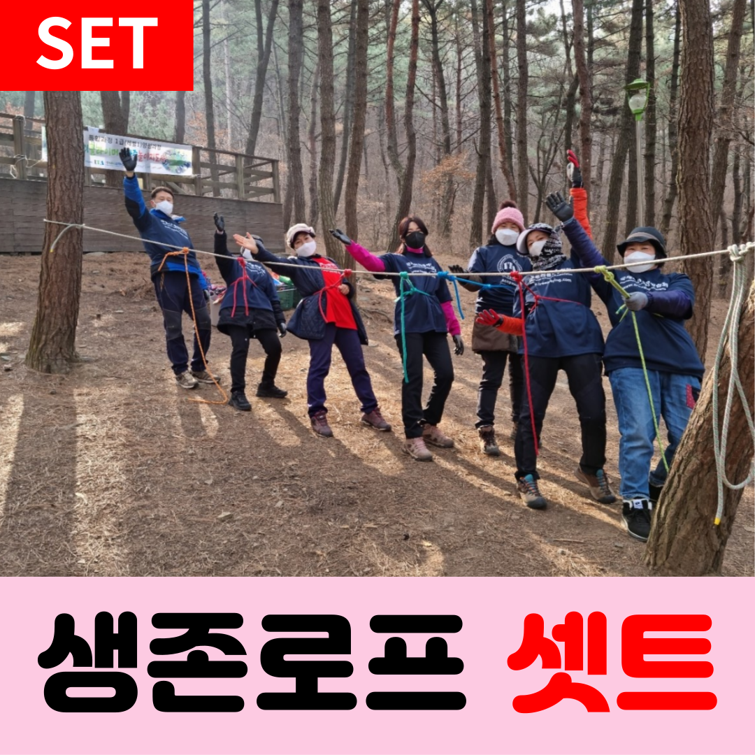 이미지 상세보기