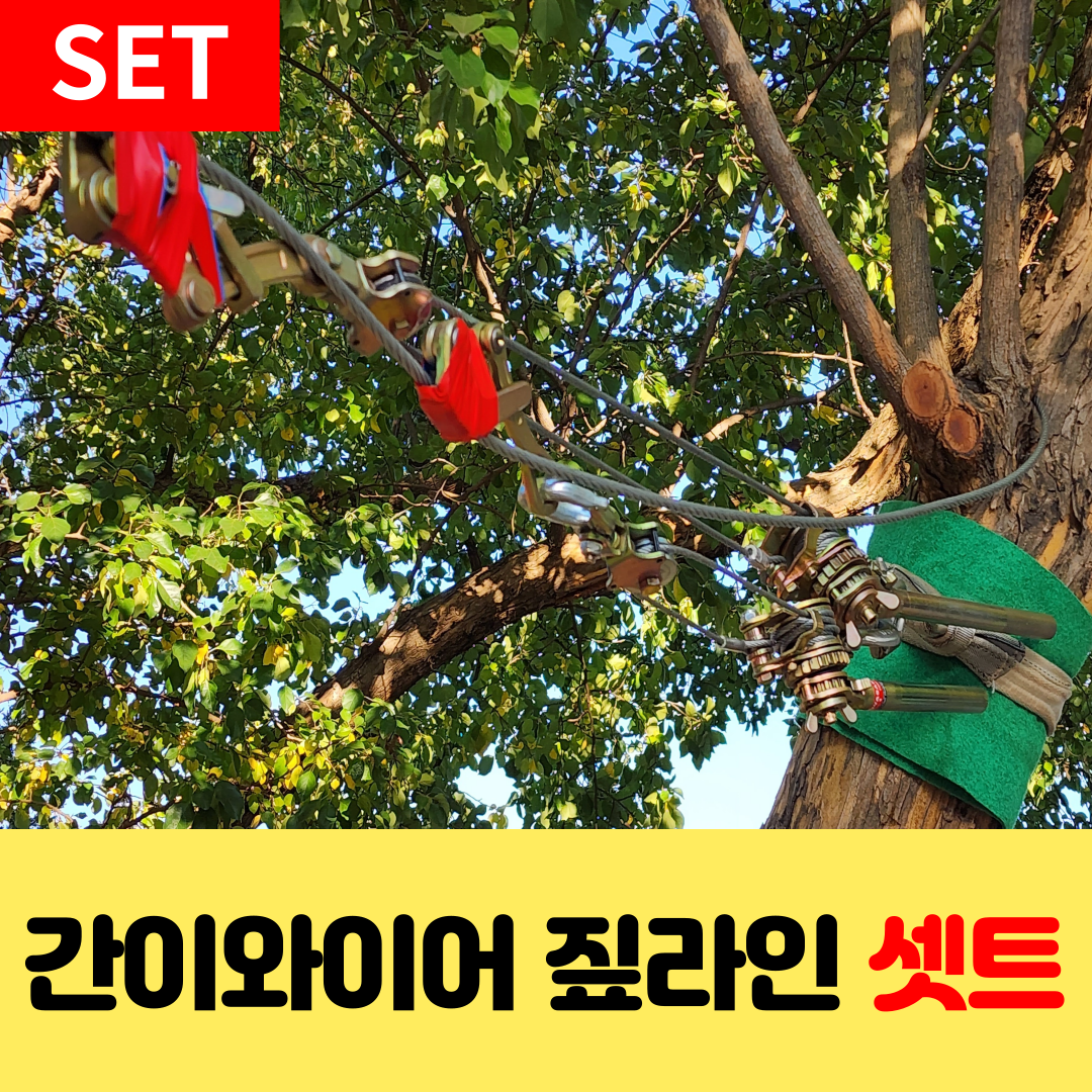 이미지 상세보기