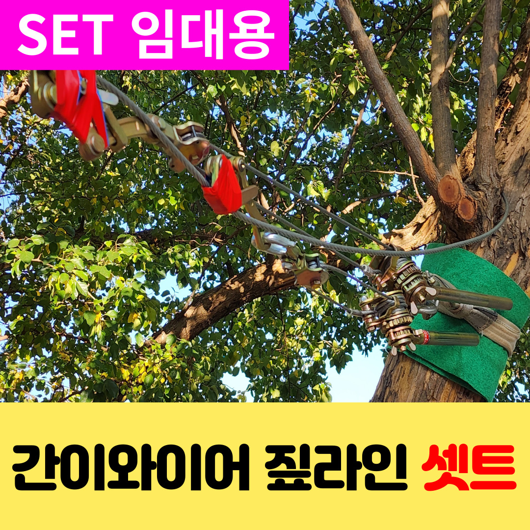 이미지 상세보기