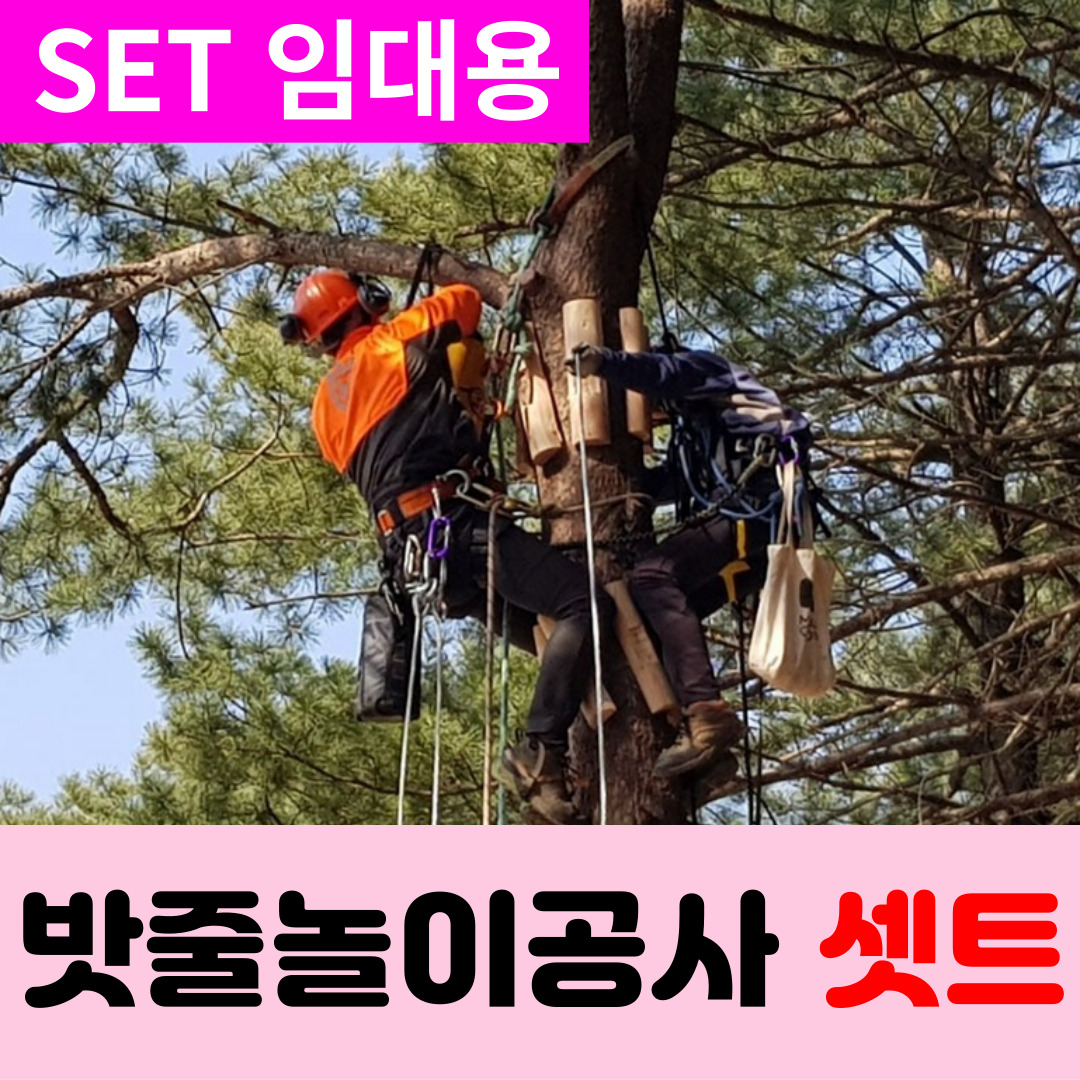 이미지 상세보기