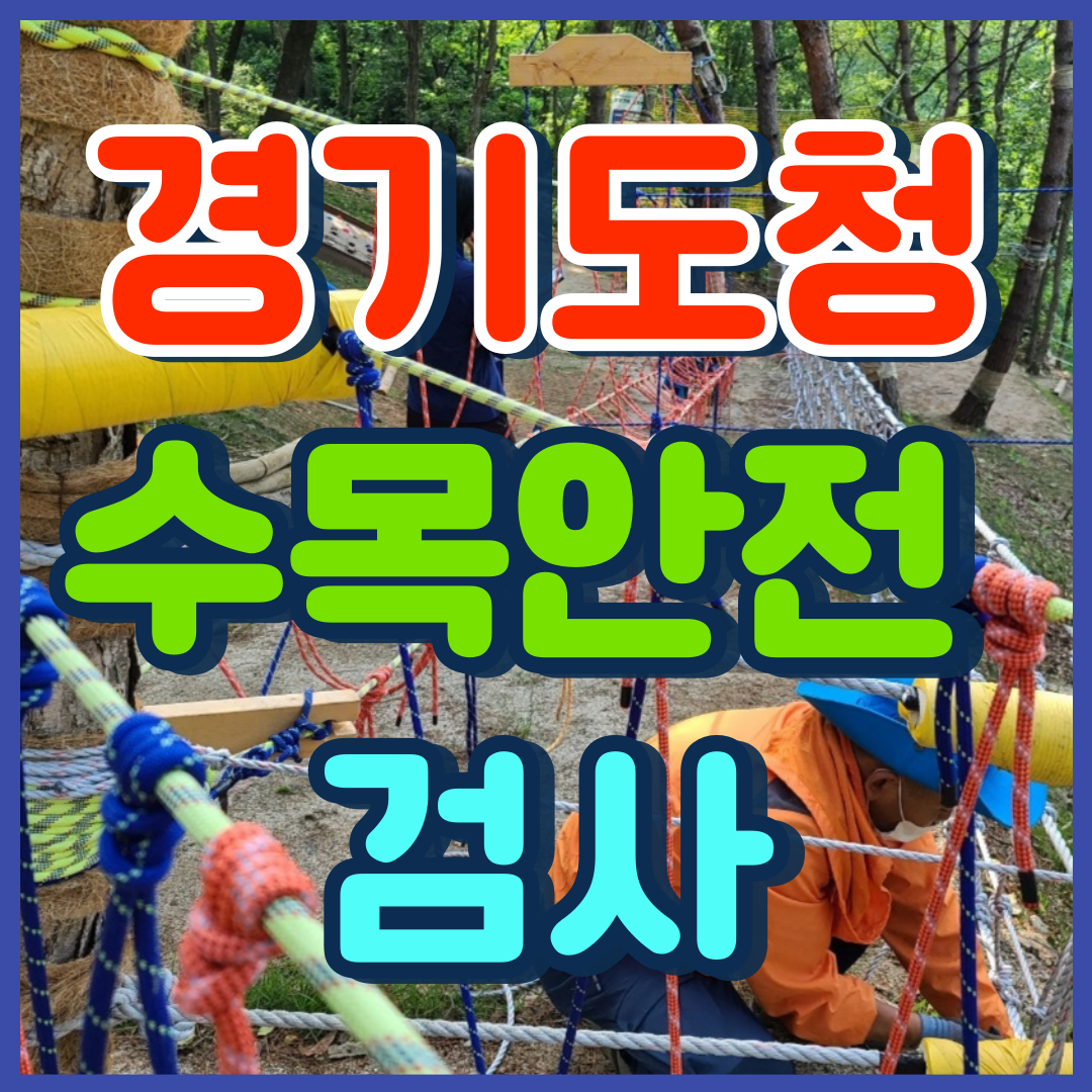 이미지 상세보기
