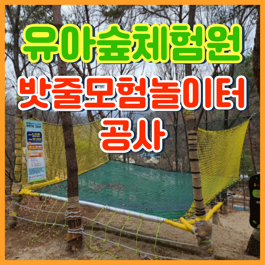 이미지 상세보기