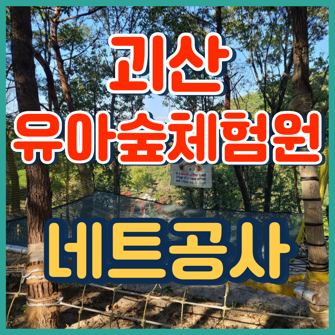 이미지 상세보기