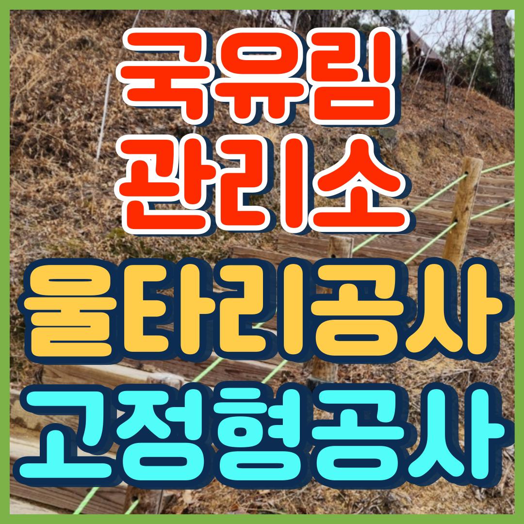 이미지 상세보기